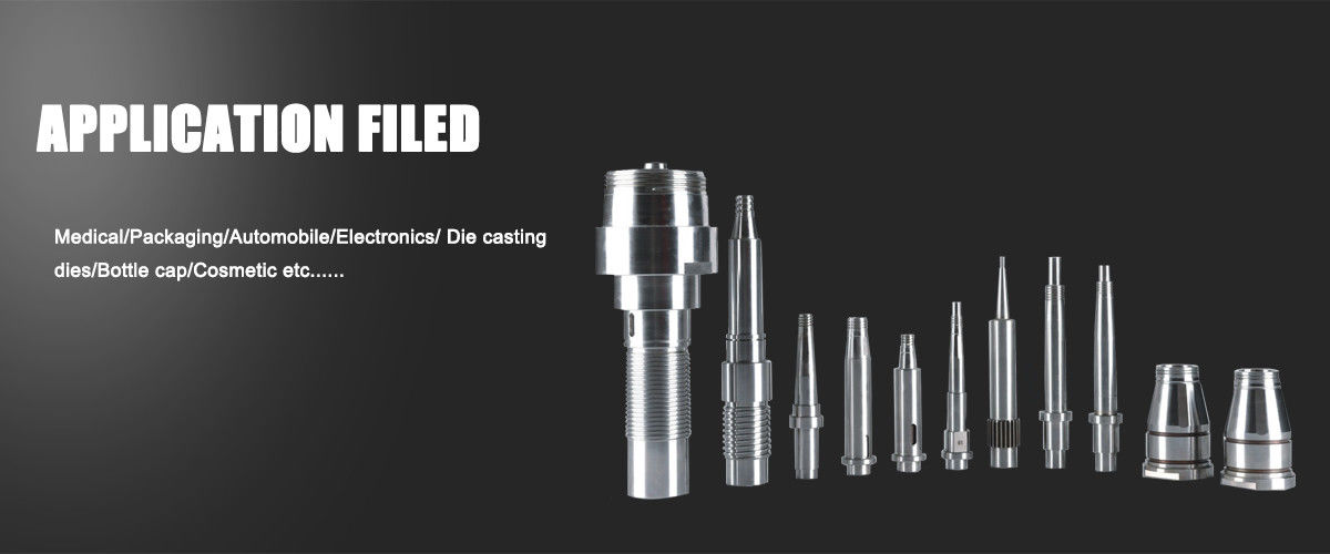 Pièces de moule de précision