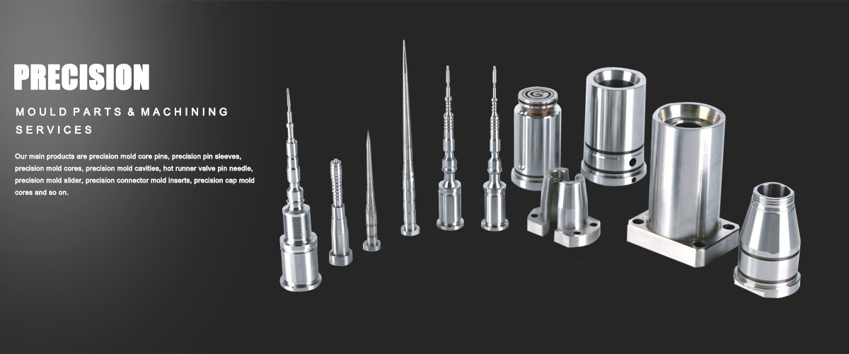 Moulage par injection en plastique