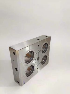 Components de moule de précision personnalisés.